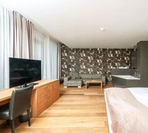 Sihlpark Hotel & Spa Room