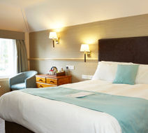 Dog House Hotel Room