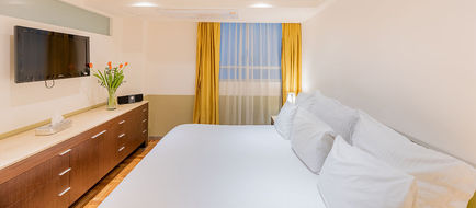 Grand Chapultepec Residencial Room