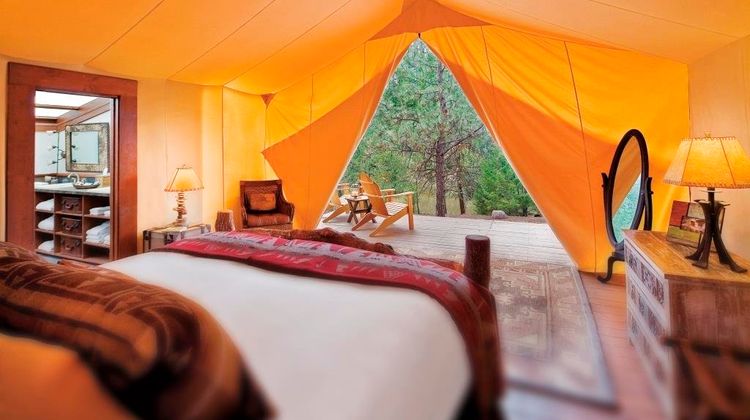 Paws Up Montana Room
