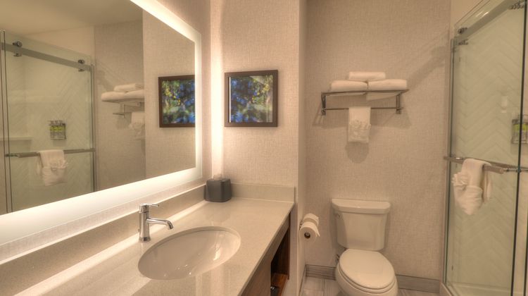 Holiday Inn & Suites Pigeon Forge Room