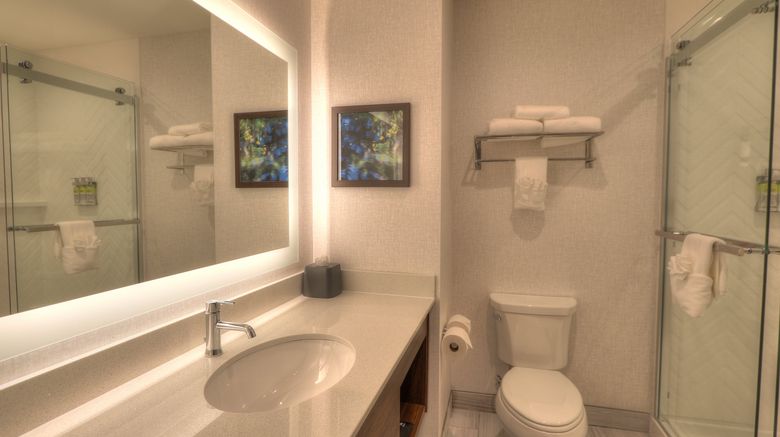 <b>Holiday Inn & Suites Pigeon Forge Room</b>. Images powered by <a href="https://www.leonardoworldwide.com/" title="Leonardo Worldwide" target="_blank">Leonardo</a>.