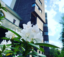 The Seven Hotel Exterior
