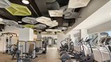 Swissotel Chicago Recreation