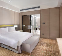 Holiday Inn Tianjin Wuqing Room