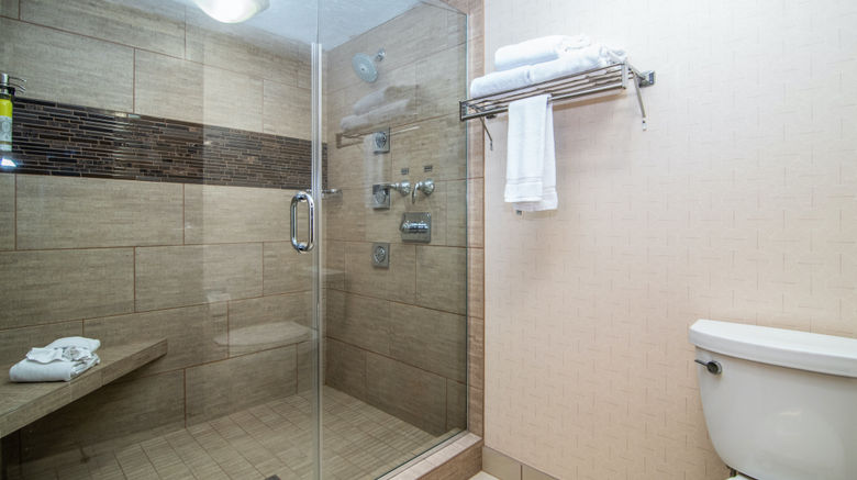 <b>Holiday Inn Express Downtown Room</b>. Images powered by <a href="https://www.leonardoworldwide.com/" title="Leonardo Worldwide" target="_blank">Leonardo</a>.