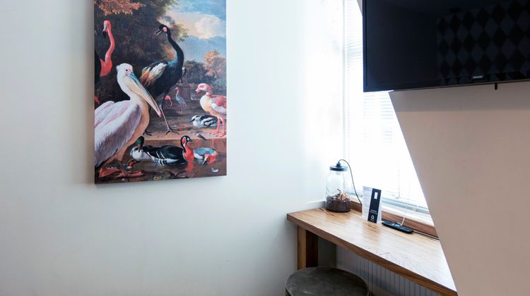 Quentin Leidse Square Room