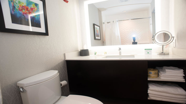 <b>Holiday Inn & Suites Joliet Southwest Room</b>. Images powered by <a href="https://www.leonardoworldwide.com/" title="Leonardo Worldwide" target="_blank">Leonardo</a>.