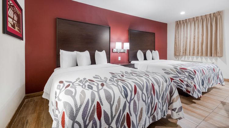 Red Roof Inn Houston - Spring North Room