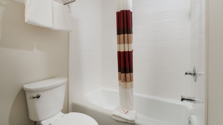 Red Roof Inn Houston - Spring North Room