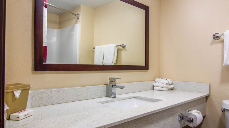 <b>Red Roof Inn Perrysburg Room</b>. Images powered by <a href="https://www.leonardoworldwide.com/" title="Leonardo Worldwide" target="_blank">Leonardo</a>.