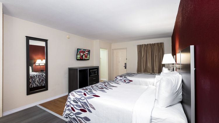 Red Roof Inn Houston North FM1960 & I-45 Room