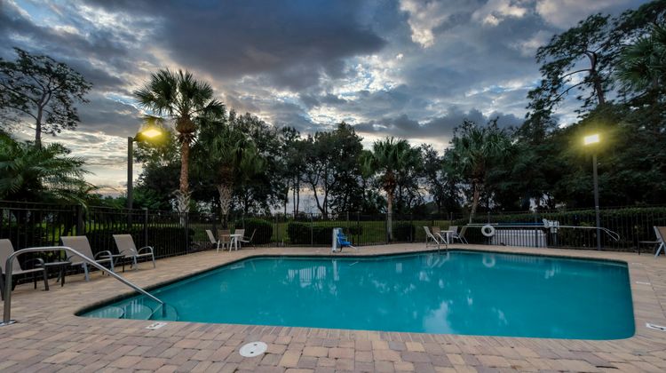 Red Roof Inn Tampa Brandon Pool