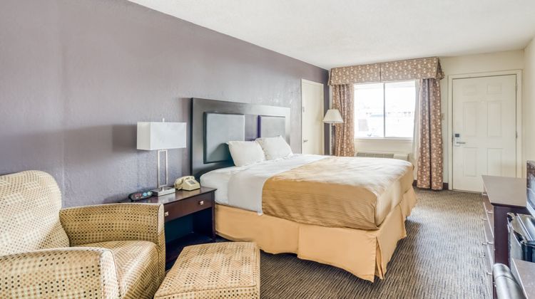 OYO Hotel Alexandria Room