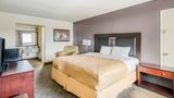 OYO Hotel Alexandria Room