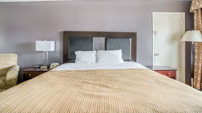<b>OYO Hotel Alexandria Room</b>. Images powered by <a href="https://www.leonardoworldwide.com/" title="Leonardo Worldwide" target="_blank">Leonardo</a>.