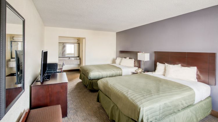 OYO Hotel Alexandria Room