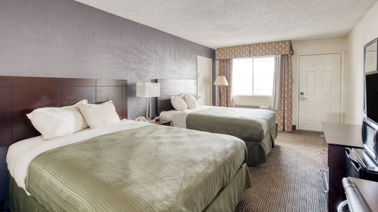 OYO Hotel Alexandria Room