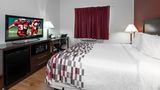 <b>Red Roof Inn Hartselle Room</b>. Images powered by <a href="https://www.leonardoworldwide.com/" title="Leonardo Worldwide" target="_blank">Leonardo</a>.