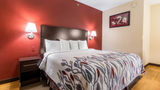 <b>Red Roof Inn Georgetown, IN - Louisville Room</b>. Images powered by <a href="https://www.leonardoworldwide.com/" title="Leonardo Worldwide" target="_blank">Leonardo</a>.