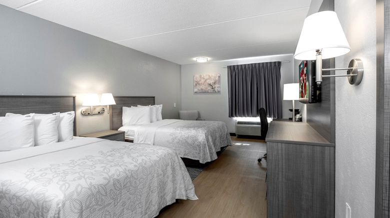 <b>Red Roof PLUS+ Boston-Mansfield/ Foxboro Room</b>. Images powered by <a href="https://www.leonardoworldwide.com/" title="Leonardo Worldwide" target="_blank">Leonardo</a>.