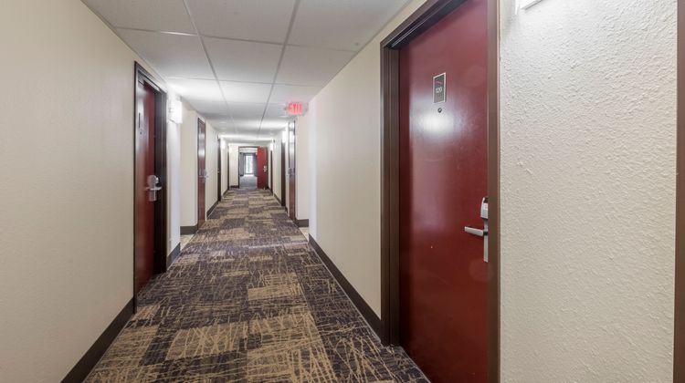 Red Roof Inn Vermillion - USD Room