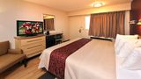 Red Roof Inn Louisville East-Hurstbourne Room