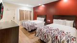 Red Roof Inn Houston-Willowbrook Room