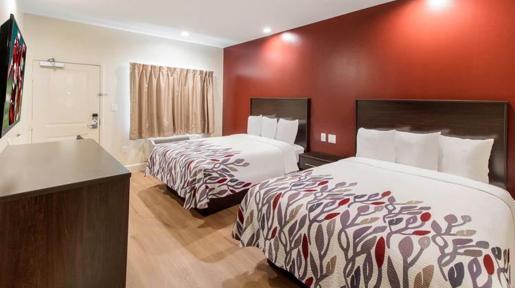 Red Roof Inn Houston-Willowbrook Room