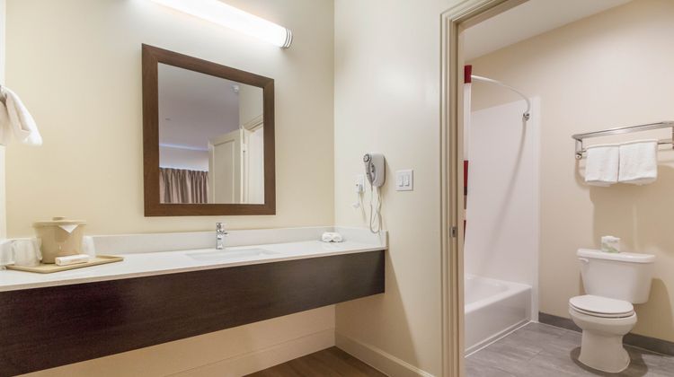 Red Roof Inn Houston-Willowbrook Room