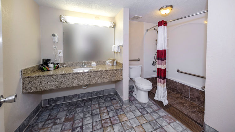 Red Roof Inn Atlanta- Suwanee/Mall of GA Room