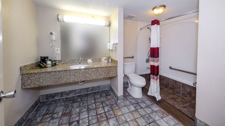 <b>Red Roof Inn Atlanta- Suwanee/Mall of GA Room</b>. Images powered by <a href="https://www.leonardoworldwide.com/" title="Leonardo Worldwide" target="_blank">Leonardo</a>.