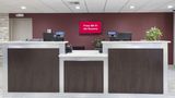 Red Roof Inn Tampa Bay - St Petersburg Lobby