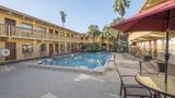 Red Roof Inn Tampa Bay - St Petersburg Pool