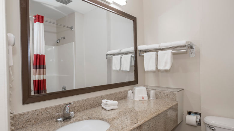 <b>Red Roof Inn Bishopville Room</b>. Images powered by <a href="https://www.leonardoworldwide.com/" title="Leonardo Worldwide" target="_blank">Leonardo</a>.