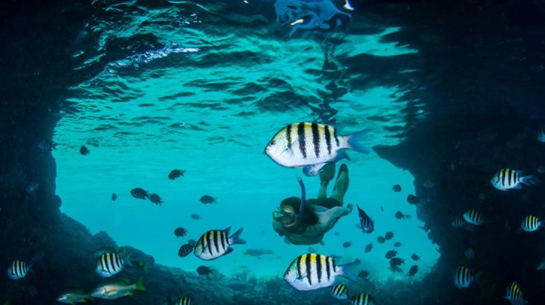 <b>The Ocean Club, A Four Seasons Resort Other</b>. Images powered by <a href="https://www.leonardoworldwide.com/" title="Leonardo Worldwide" target="_blank">Leonardo</a>.