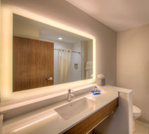 Holiday Inn Express & Suites Remington Room