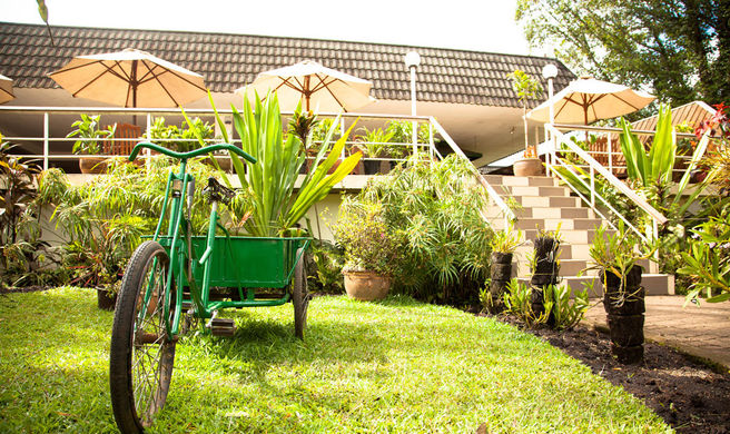 Bird of Paradise Hotel and Apartments Exterior