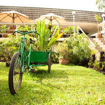 Bird of Paradise Hotel and Apartments