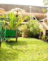Bird of Paradise Hotel and Apartments