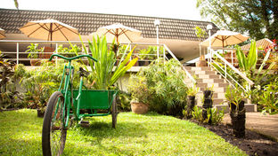 Bird of Paradise Hotel and Apartments