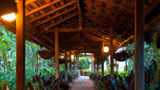 Bird of Paradise Hotel and Apartments Lobby
