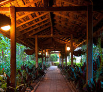 Bird of Paradise Hotel and Apartments Lobby