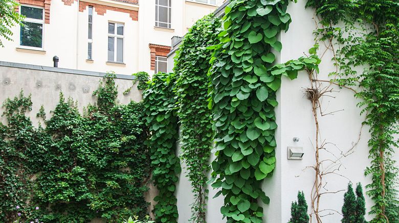 <b>Quentin Design Hotel Berlin Exterior</b>. Images powered by <a href="https://www.leonardoworldwide.com/" title="Leonardo Worldwide" target="_blank">Leonardo</a>.