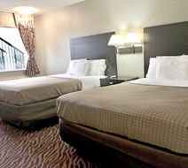 Red Carpet Inn & Suites Danville Room