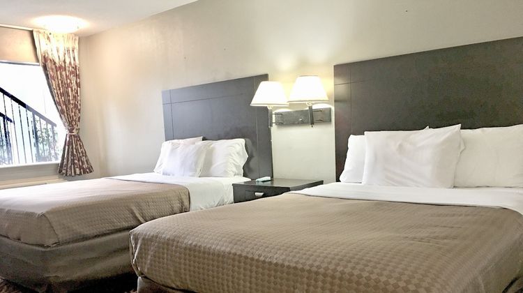 Red Carpet Inn & Suites Danville Room