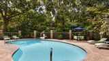Holiday Inn Express & Stes Mt Pleasant Pool