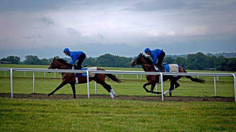 <b>Cbh Jockey Club Rooms Other</b>. Images powered by <a href="https://www.leonardoworldwide.com/" title="Leonardo Worldwide" target="_blank">Leonardo</a>.