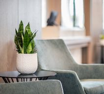 Holiday Inn Kingston Waterfront Lobby