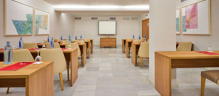 Exe Ciudad de Cordoba Room